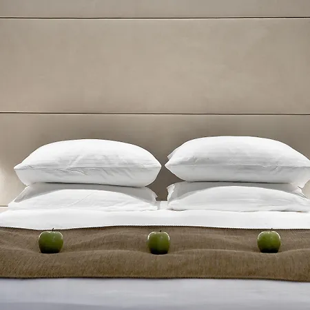 Domotel Olympia